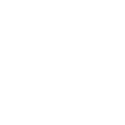SES